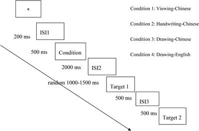 Effect of Handwriting on Visual Word Recognition in Chinese Bilingual Children and Adults